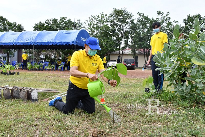20210526-Tree planting dayt-071.JPG